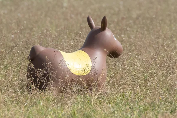 Juguete Inflable Goma Del Animal Del Caballo Está Campo Caballo — Foto de Stock