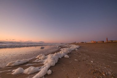 .Deniz köpüğü, zooplankton, fitoplankton, yosun ve protozoanlar gibi deniz mikroorganizmaları için bir yaşam ortamı. Gün batımında sahilde.