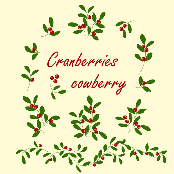 Berry colored icons set cranberries. 