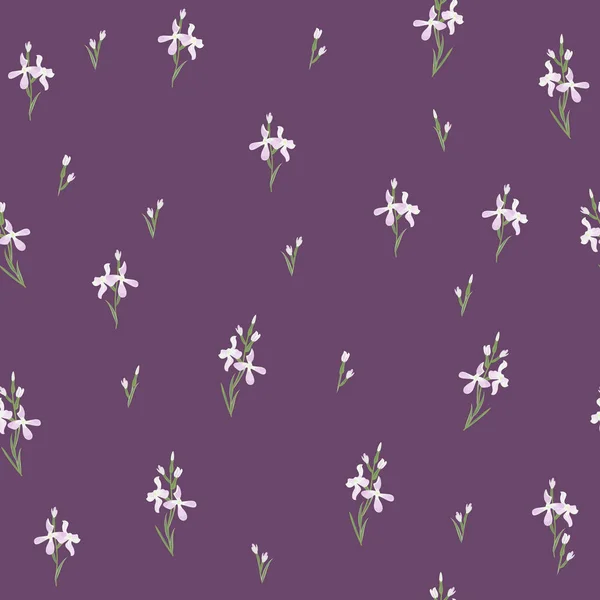 Naadloze patroon met bloemen Matthiola of evening primrose. — Stockvector