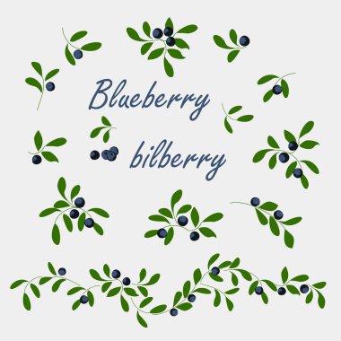Berry renkli simgeler kümesi yaban mersini. 