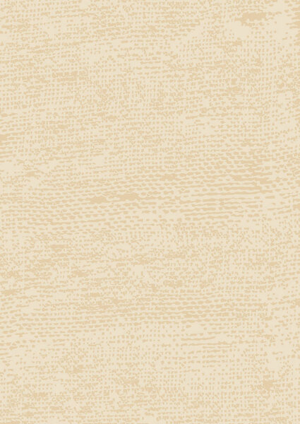 The rough texture of the fabric.