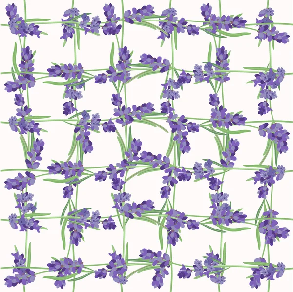Bezešvé vzory s levandulovými květy. — Stockový vektor