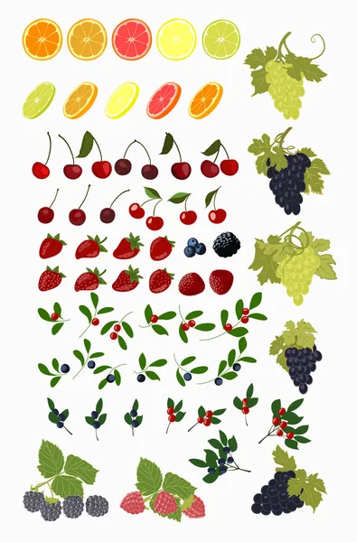 Vektor isolierte Reihe von Früchten und Beeren. — Stockvektor