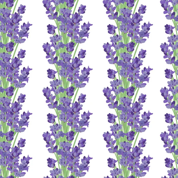 Bezešvé vzory s levandulovými květy. — Stockový vektor