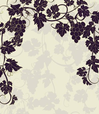 Üzüm vintage tarzı ile vektör arka plan.