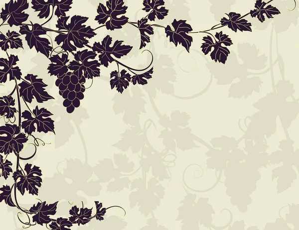 Vector background with vines in vintage style. — Stock Vector