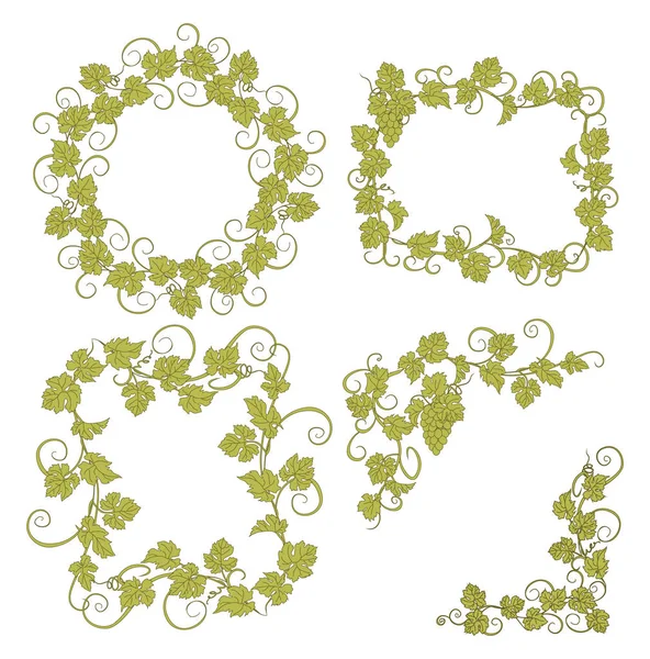 Background for text with vines and bunches of grapes. — Stock Vector