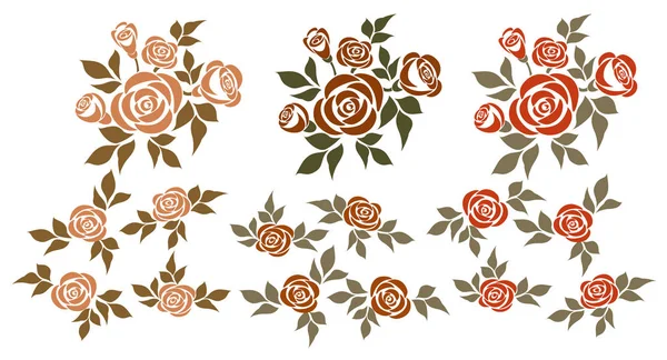 Conjunto Rosas Conjunto Vectorial Ramos Aislados Rosas Elementos Diseño — Vector de stock