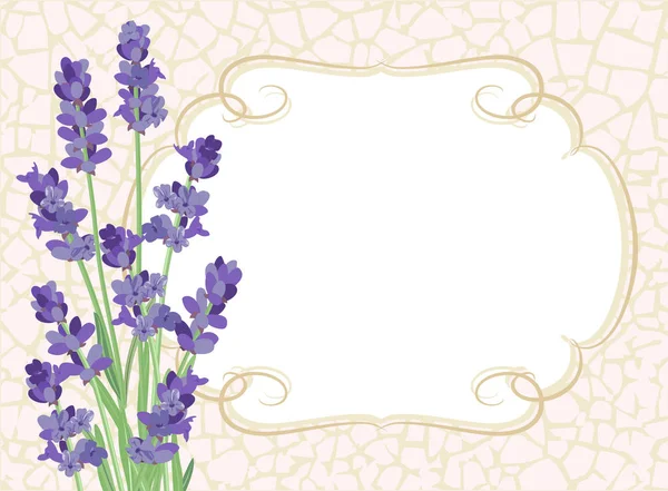 Lavendel Hintergrund Mit Lavendelblüten Und Textur Knistern — Stockvektor