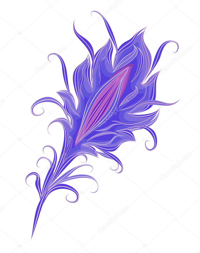 The feather of a magical bird. The feather of a fantastic bird. Vector isolated feather in vintage style on a white background.