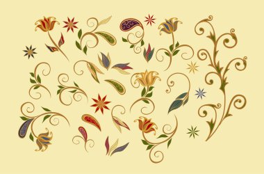 Vektör dekoratif tasarım Paisley, çiçek elementleri.