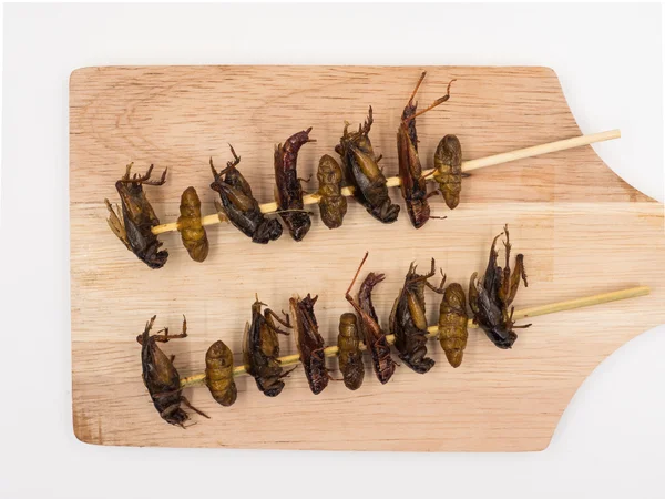 Gebakken insecten. Eiwit rijk voedsel. — Stockfoto