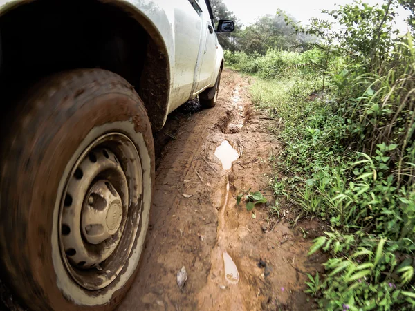 The car's wheels on the dirt road. — Stock Photo, Image