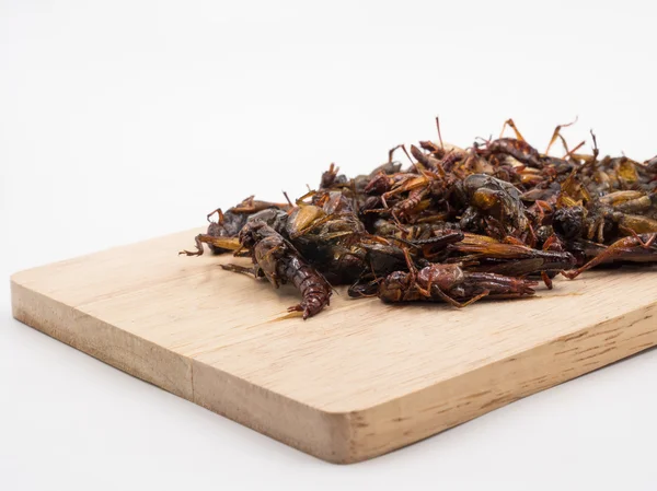 Insectos fritos. Alimento rico en proteínas . —  Fotos de Stock