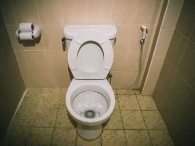 Klozet bathroom.vintage filtre