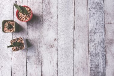 Beyaz ahşap masa arka plan üzerinde Kaktüs üst görünümü, Vintage sesi, metin için boş alan