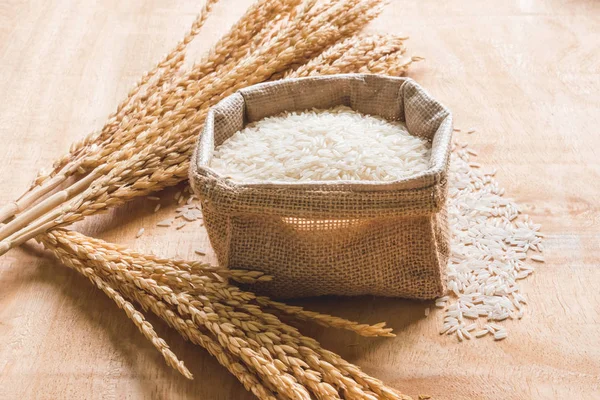 Сире зерно рису і сухий рисовий завод на дерев'яному фоні столу . — стокове фото