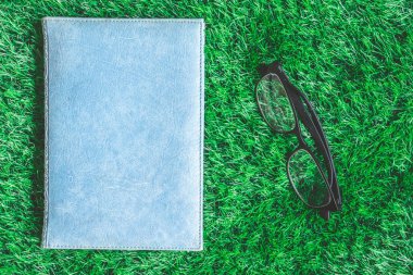 Yeşil çim zemin üzerine gözlük ile mavi ciltli kitap Üstten Görünüm.