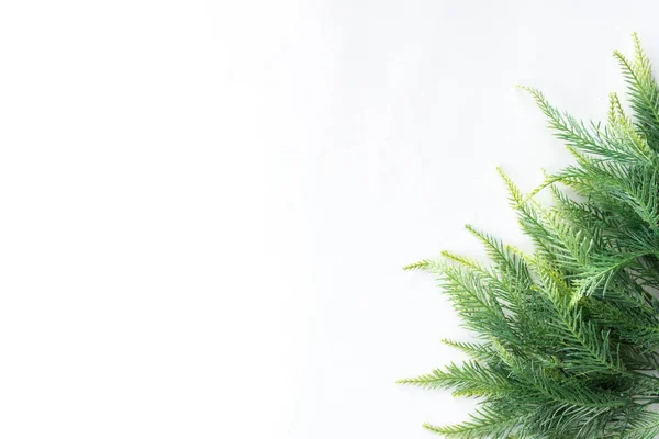 Christmas tree on a white background, free space for text — Stock Photo, Image