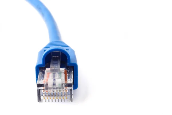 Cable de conexión de red LAN sobre fondo blanco. Espacio libre para texto — Foto de Stock