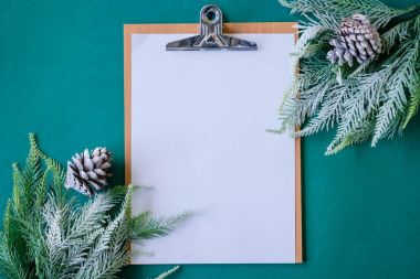 Boş kağıt ile Noel ağacı dalları yeşil zemin üzerine.