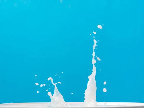 Schizzo di latte da una tazza su sfondo blu . — Foto Stock
