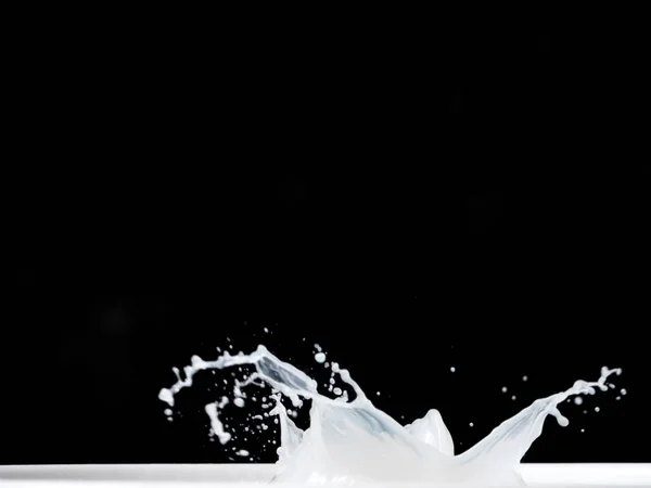 Mjölk stänk på svart bakgrund. — Stockfoto