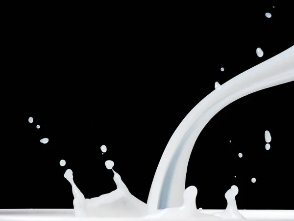 Milk Splash on black background. — Stock Photo, Image