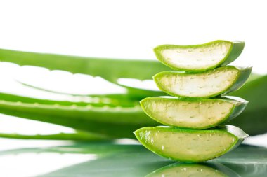 Aloe vera bitki beyaz arka plan üzerinde. Aloe vera cilt tedavi olarak geleneksel tıpta kullanılır.