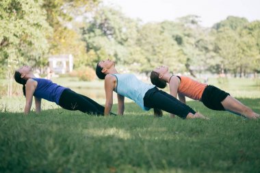 Parkta yoga egzersizleri yapıyor kadın grubu. Sağlıklı yaşam kavramı.