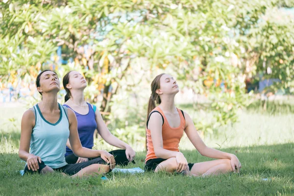 Group of women doing yoga exercises in the park. Concept of healthy lifestyle. — Stock Photo, Image