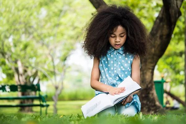 Güzel kız bir parkta yeşil çimenlerin üzerinde otururken bir kitap okuma