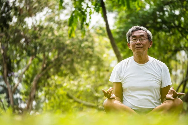 Lotus 'taki kıdemli adam parkta yeşil çimlerin üzerinde oturuyor. Sakinlik ve meditasyon kavramı.