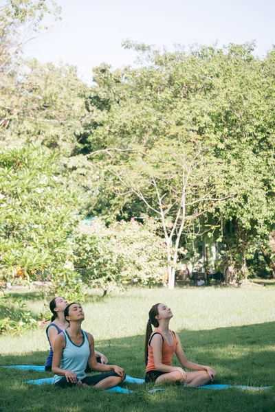 Gruppe von Frauen, die Yoga-Übungen im Park machen. Konzept eines gesunden Lebensstils. — Stockfoto