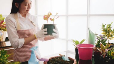 Mutlu bahçıvan kadın odada saksı tutuyor..