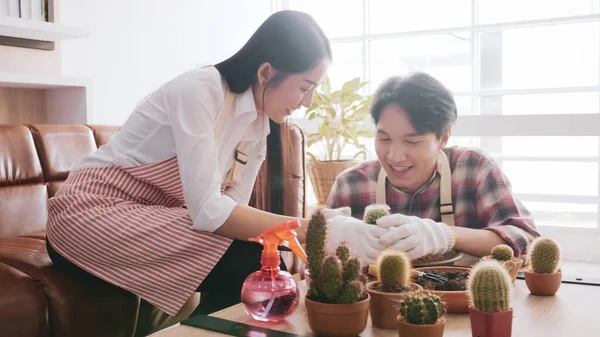 Feliz Pareja Jardineros Cuidando Cactus Juntos Habitación —  Fotos de Stock