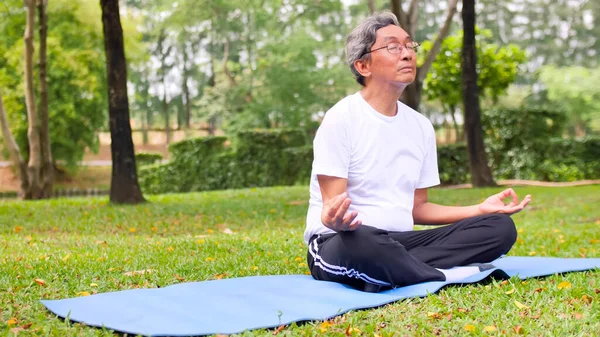 Hombre Asiático Haciendo Yoga Parque — Foto de Stock