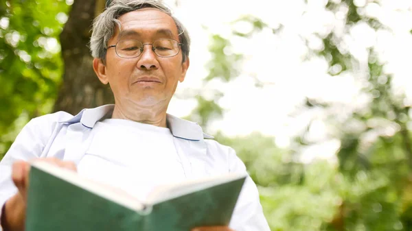 Feliz Asiático Homem Lendo Livro Parque — Fotografia de Stock