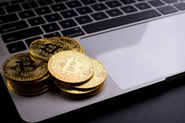 stock image Golden coins with bitcoin symbol on computer.