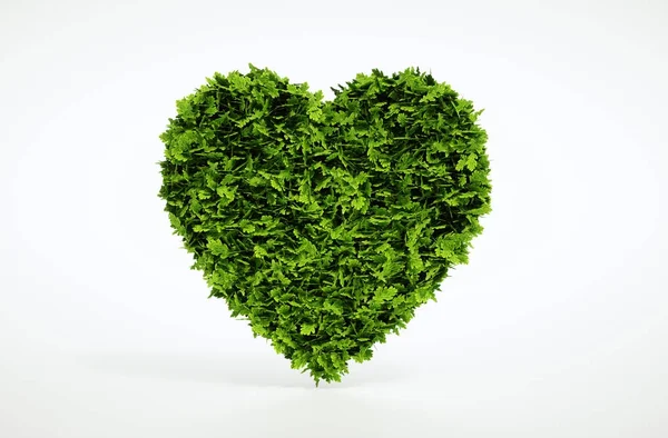 Zelené srdce izolovaných na bílém pozadí. 3D obrázek. — Stock fotografie
