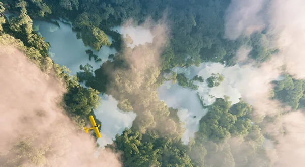 Luftaufnahme Nebliger Regenwaldseen Form Von Kontinenten Der Welt Dichter Dschungel Stockbild