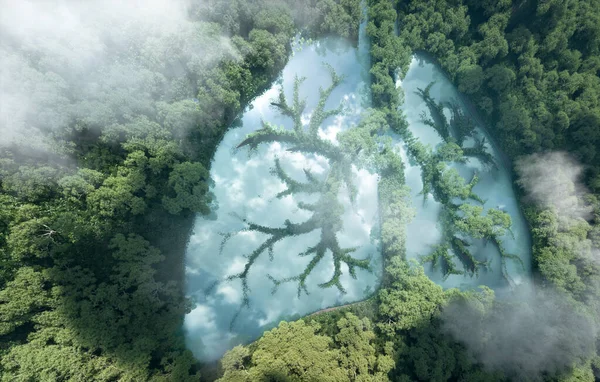 Grüne Lungen Des Planeten Erde Darstellung Eines Sauberen Sees Form lizenzfreie Stockbilder