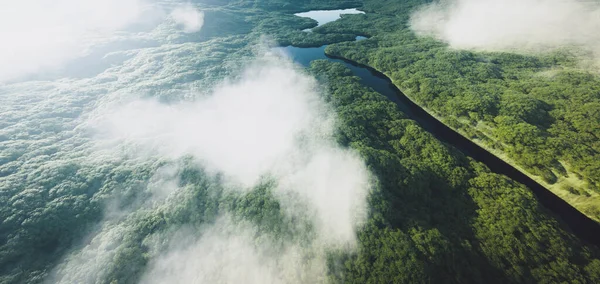 Luchtfoto Van Een Dicht Amazone Regenwoud Met Rivier Destructie — Stockfoto