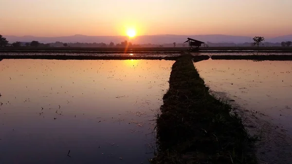 Vista Natural Amanecer Por Mañana Chaing Rai Tailandia —  Fotos de Stock