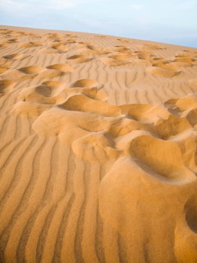 İzole edilmiş beyaz arkaplanda yeşil elmalar