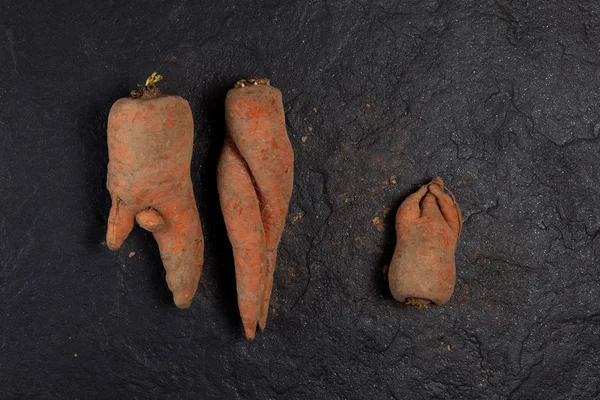 Siyah arka planda deforme olmuş organik havuçlar. Boşluğu kopyala. — Stok fotoğraf