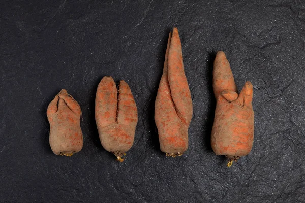 Смешные уродливые морковки, расположенные в ряд на темном фоне . — стоковое фото