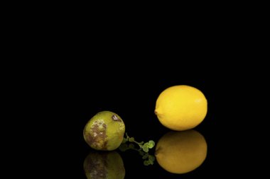 Bad lime and fresh lemon on a black background. clipart
