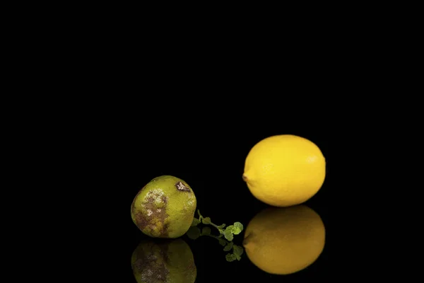Mauvais citron vert et citron frais sur fond noir . — Photo
